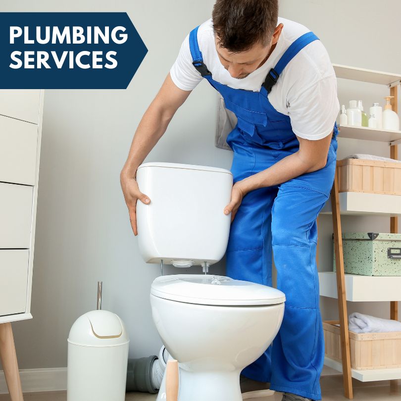 Plumbing Company in Orange Lake, FL